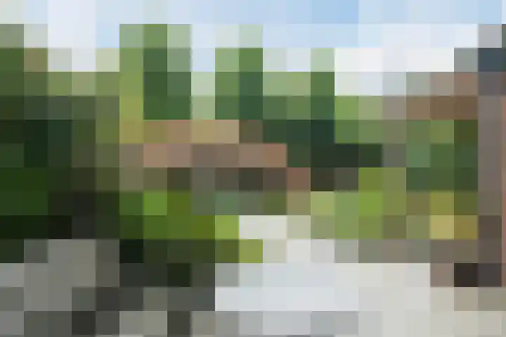 Graaf Hendriklaan 8 Lochem thumbnail 44