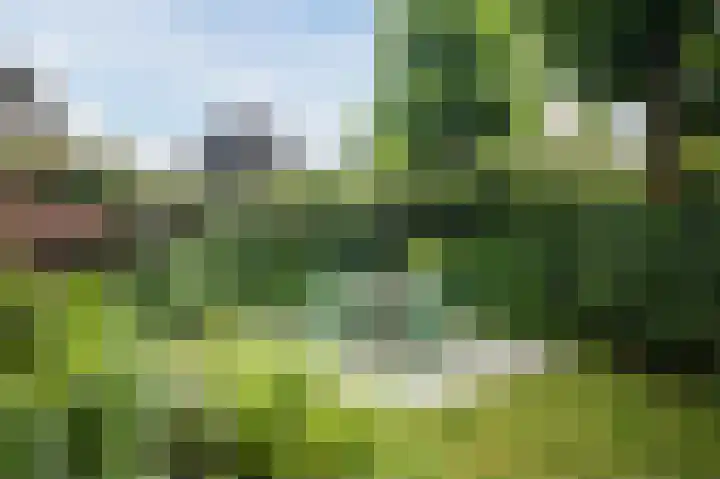 Graaf Hendriklaan 8 Lochem thumbnail 46