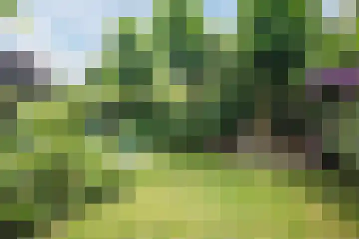 Graaf Hendriklaan 8 Lochem thumbnail 49