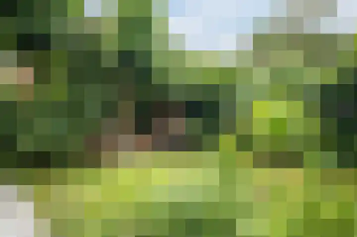 Graaf Hendriklaan 8 Lochem thumbnail 50