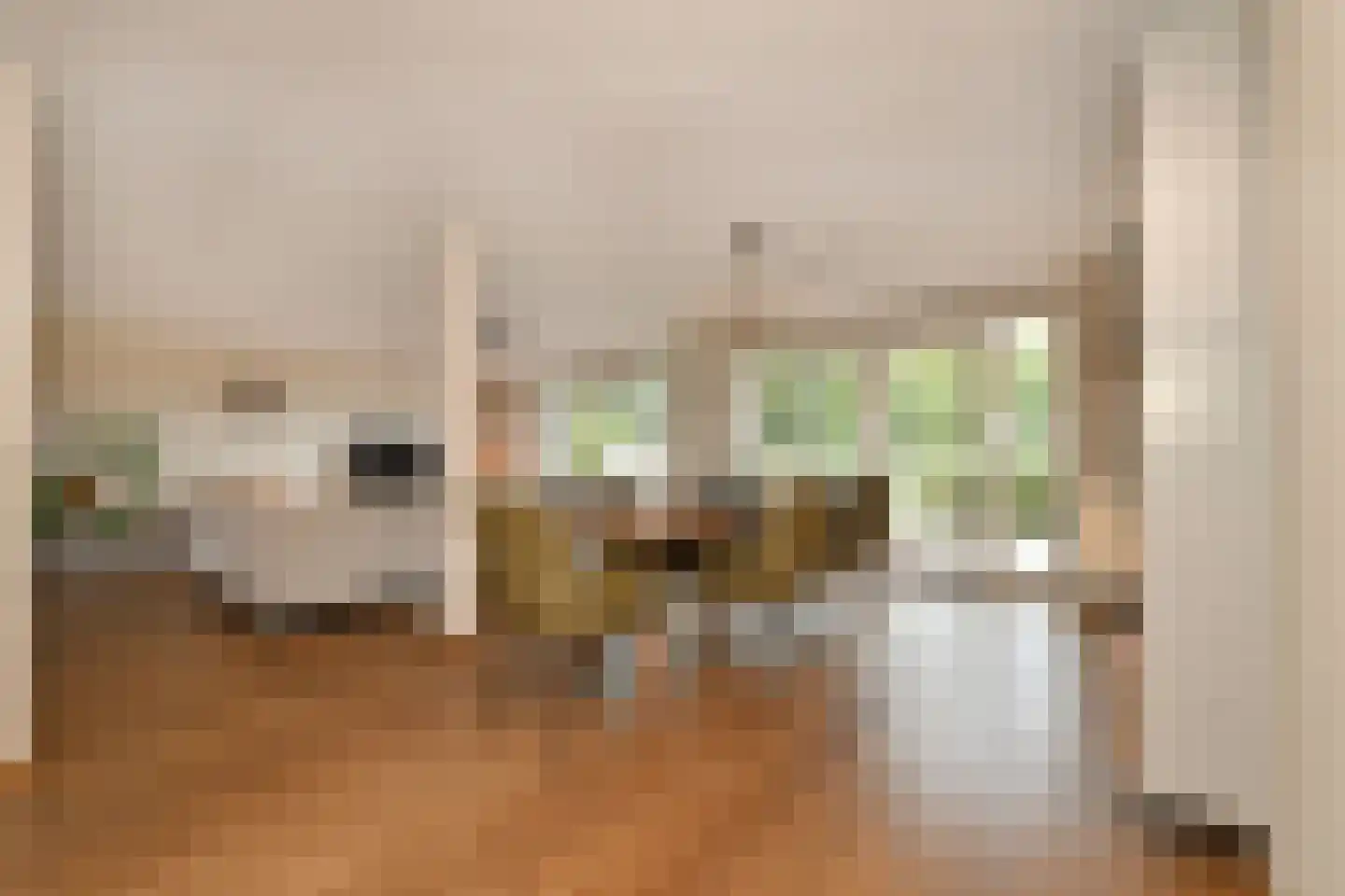 Graaf Hendrikpolderdijk 8 Steenbergen thumbnail 15