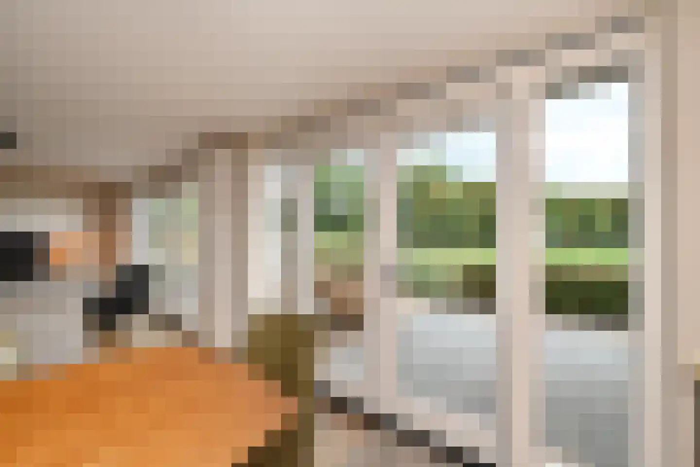 Graaf Hendrikpolderdijk 8 Steenbergen thumbnail 16