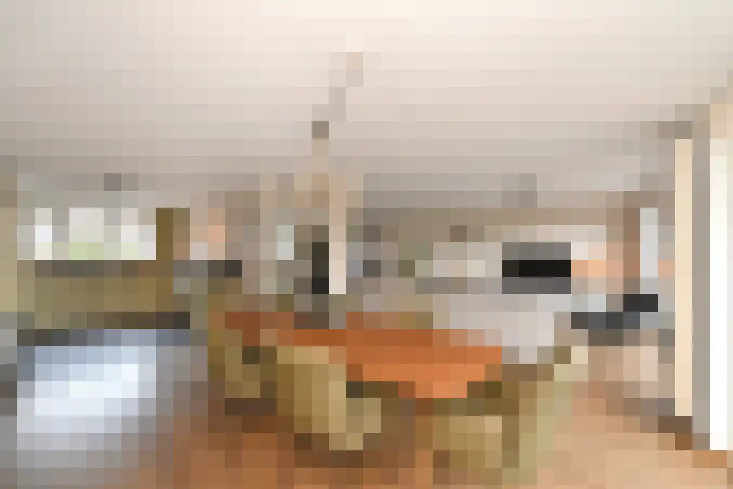 Graaf Hendrikpolderdijk 8 Steenbergen thumbnail 18