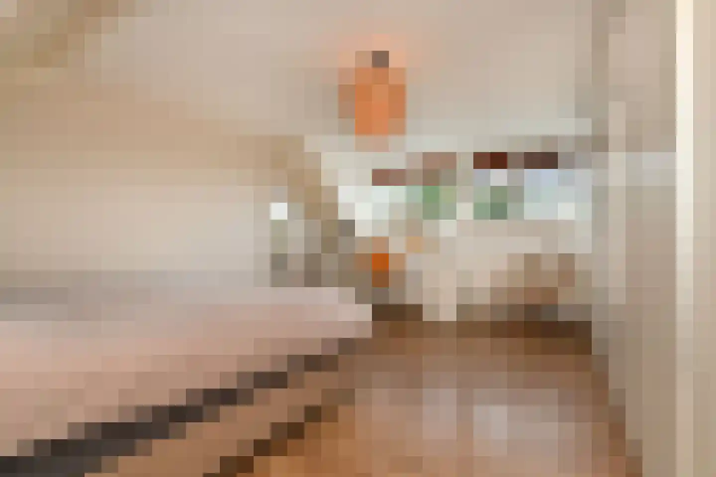 Graaf Hendrikpolderdijk 8 Steenbergen thumbnail 25