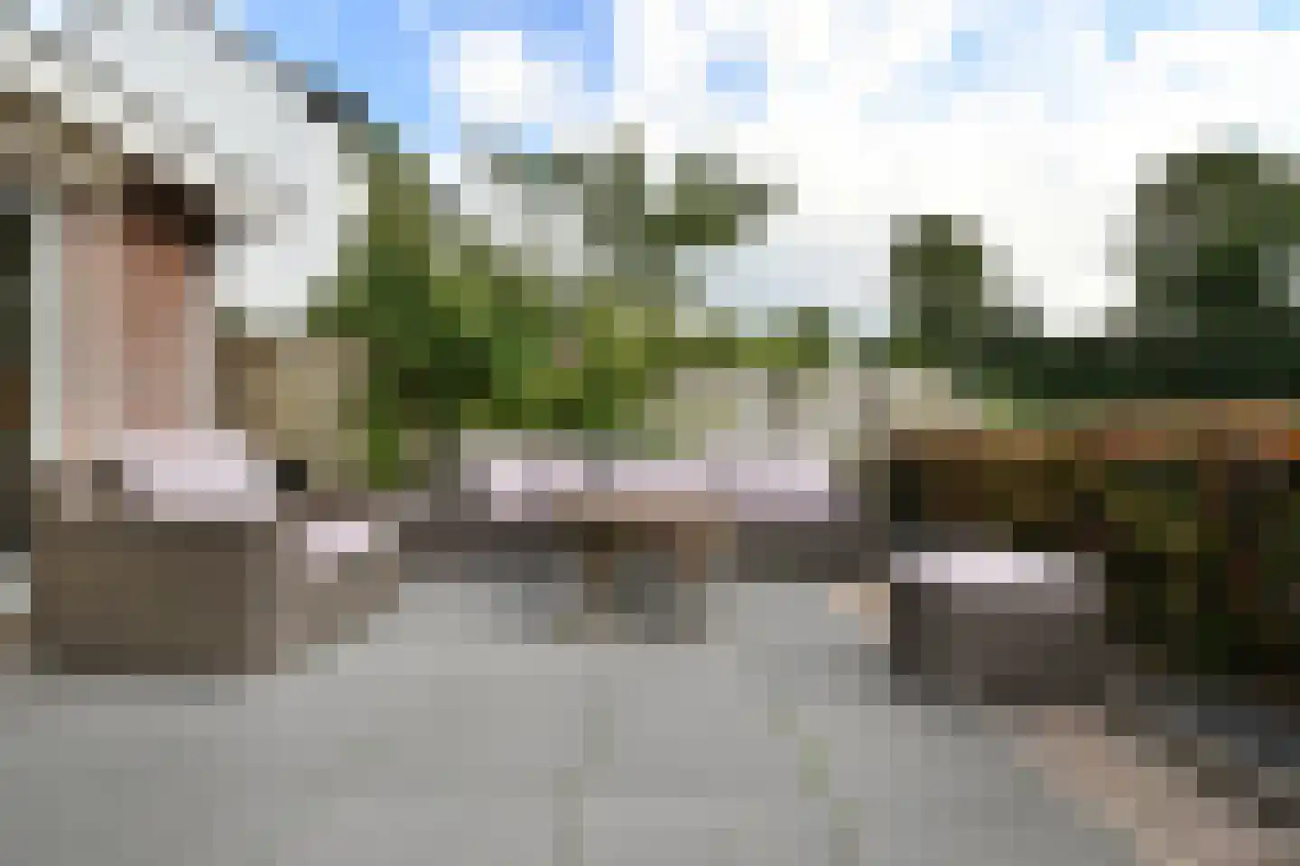 Graaf Hendrikpolderdijk 8 Steenbergen thumbnail 32