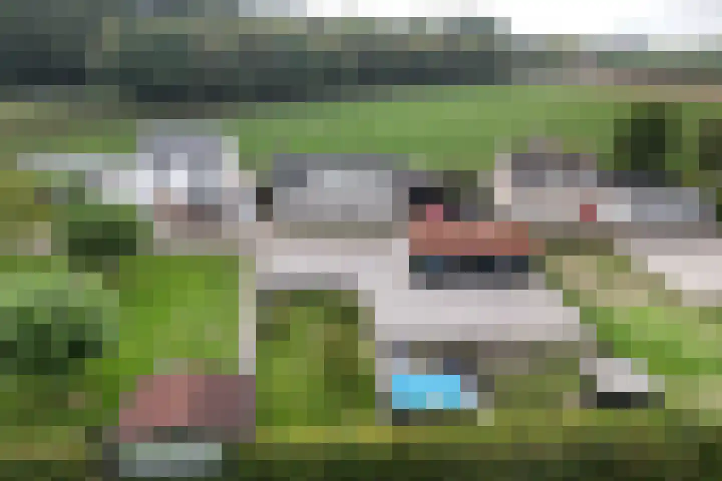 Graaf Hendrikpolderdijk 8 Steenbergen thumbnail 34