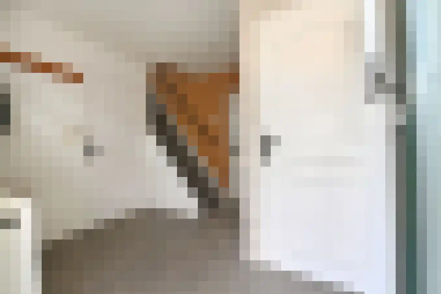 Graaf Hendrikpolderdijk 8 Steenbergen thumbnail 7