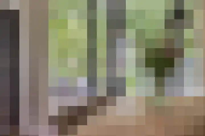 Graaf Hendrikstraat 4 Kessel thumbnail 12