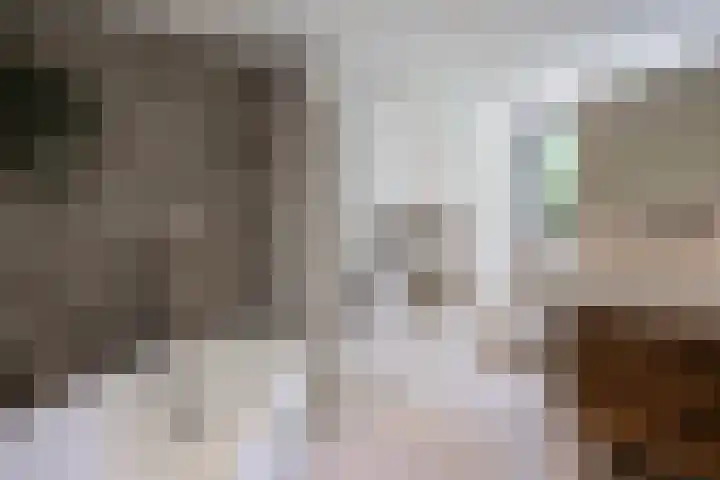 Graaf Hendrikstraat 4 Kessel thumbnail 4