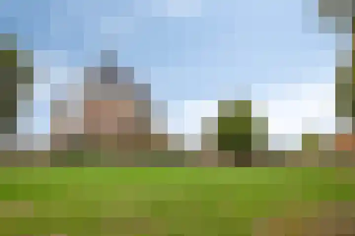Graaf Hendrikstraat 4 Kessel thumbnail 55