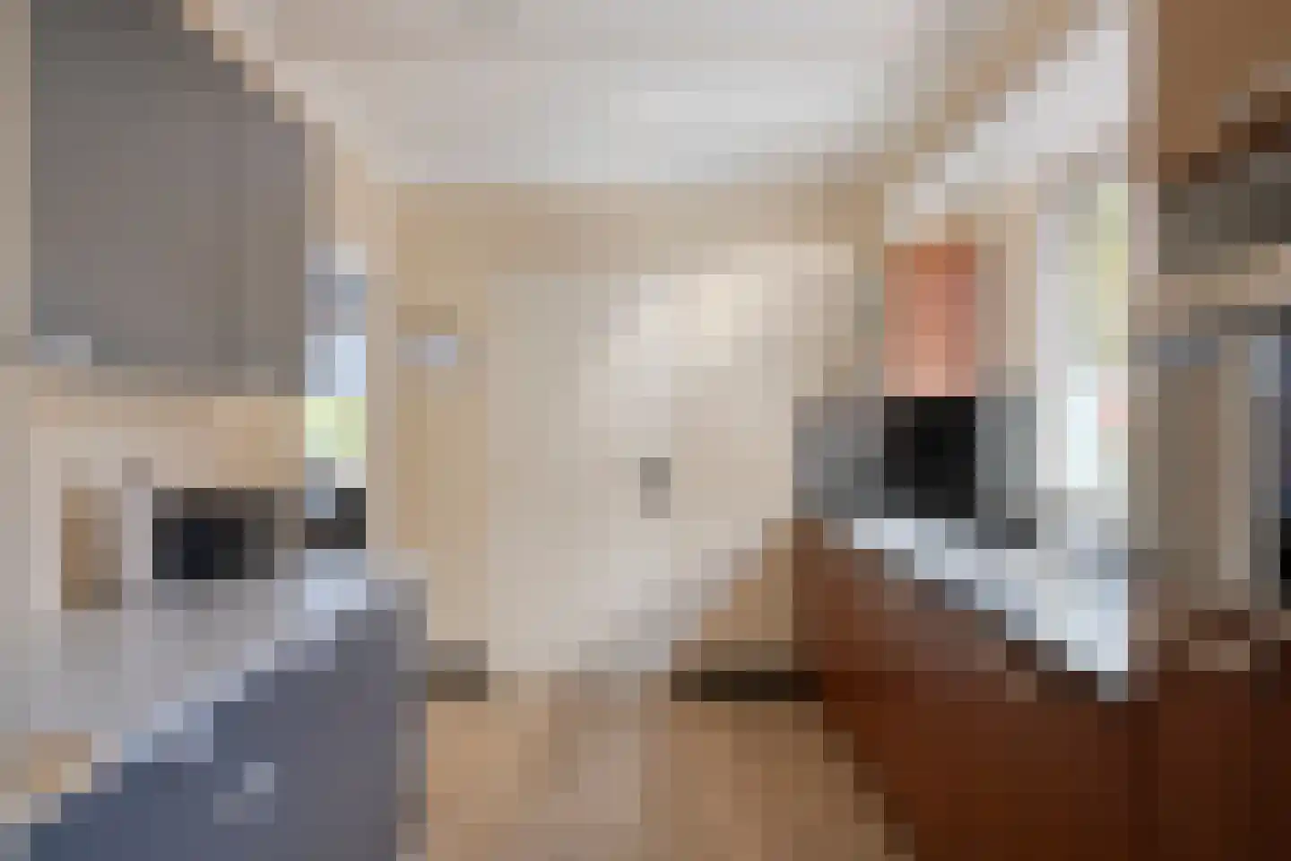 Graaf Hendrikstraat 9 Kessel thumbnail 17