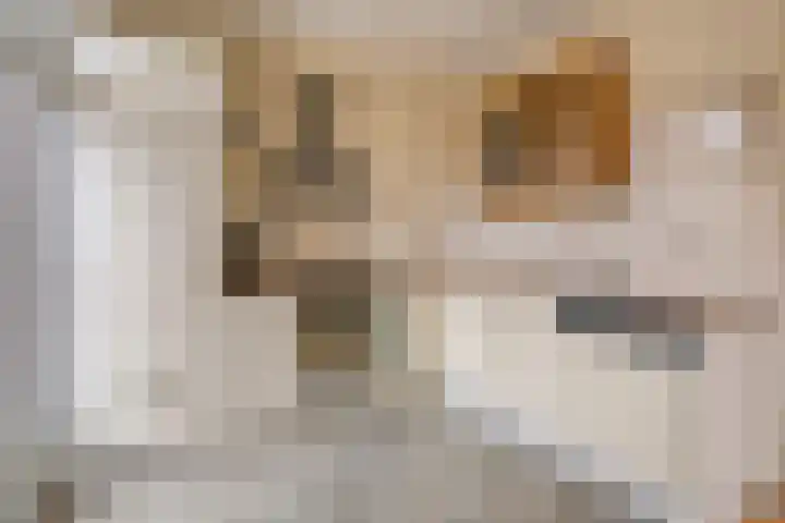 Graaf Hermanstraat 22 Cuijk thumbnail 10