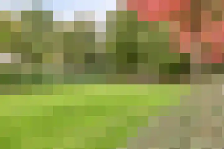 Graaf Hermanstraat 22 Cuijk thumbnail 20