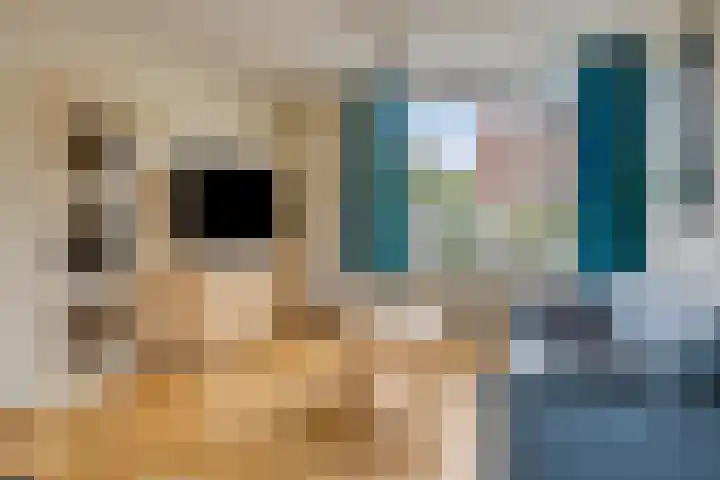 Graaf Hermanstraat 22 Cuijk thumbnail 7