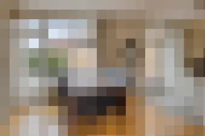 Graaf Hermanstraat 22 Cuijk thumbnail 8