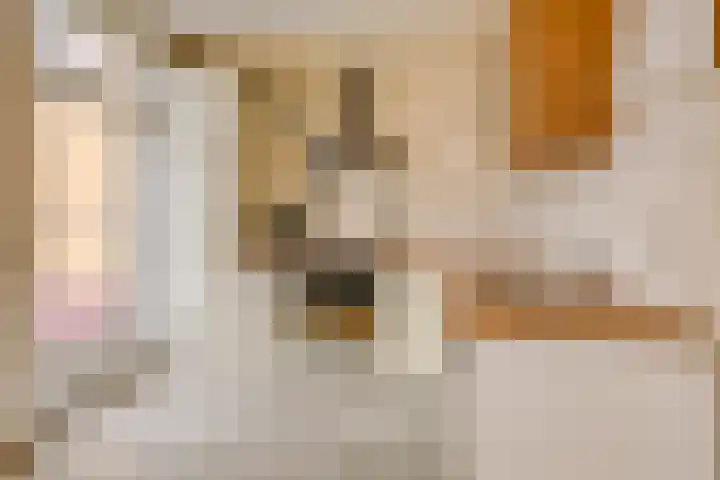 Graaf Hermanstraat 22 Cuijk thumbnail 9