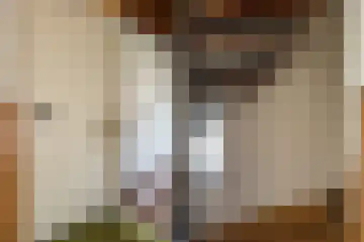 Graaf Hermanstraat 8 Cuijk thumbnail 19