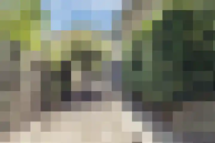 Graaf Hermanstraat 8 Cuijk thumbnail 29