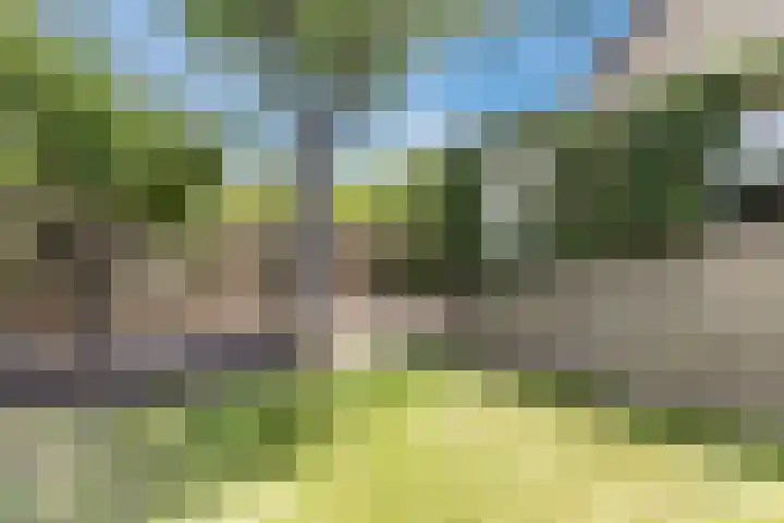 Graaf Hermanstraat 8 Cuijk thumbnail 32