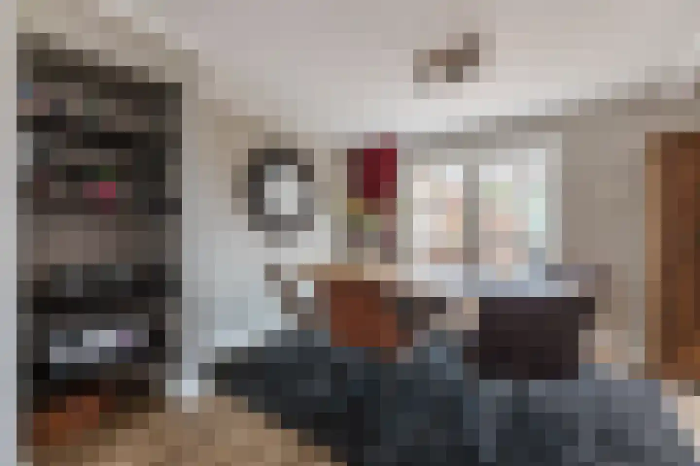 Graaf Hermanstraat 9 Cuijk thumbnail 11