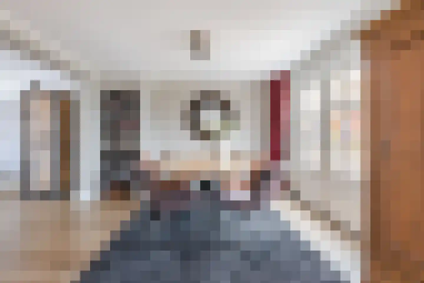 Graaf Hermanstraat 9 Cuijk thumbnail 12