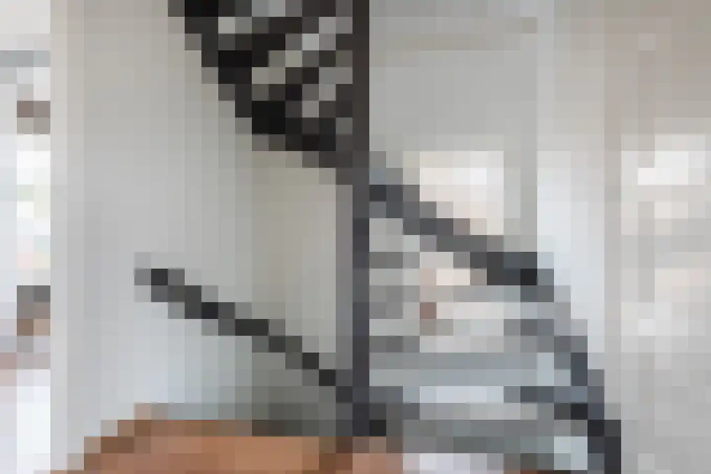 Graaf Hermanstraat 9 Cuijk thumbnail 20