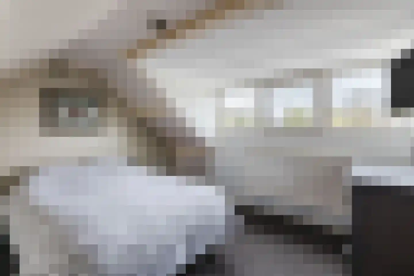 Graaf Hermanstraat 9 Cuijk thumbnail 21