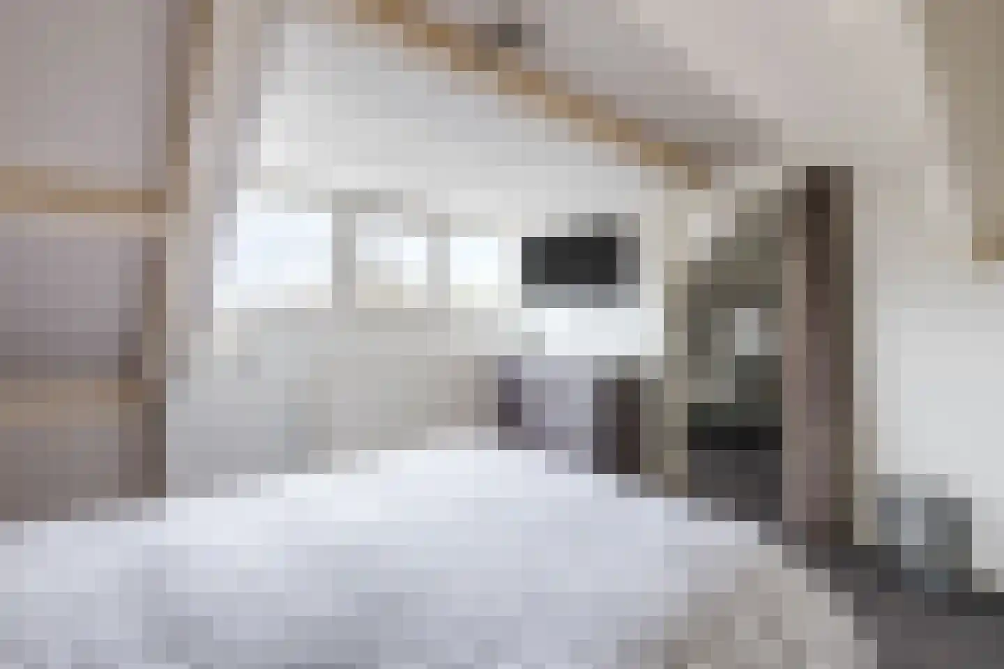 Graaf Hermanstraat 9 Cuijk thumbnail 22