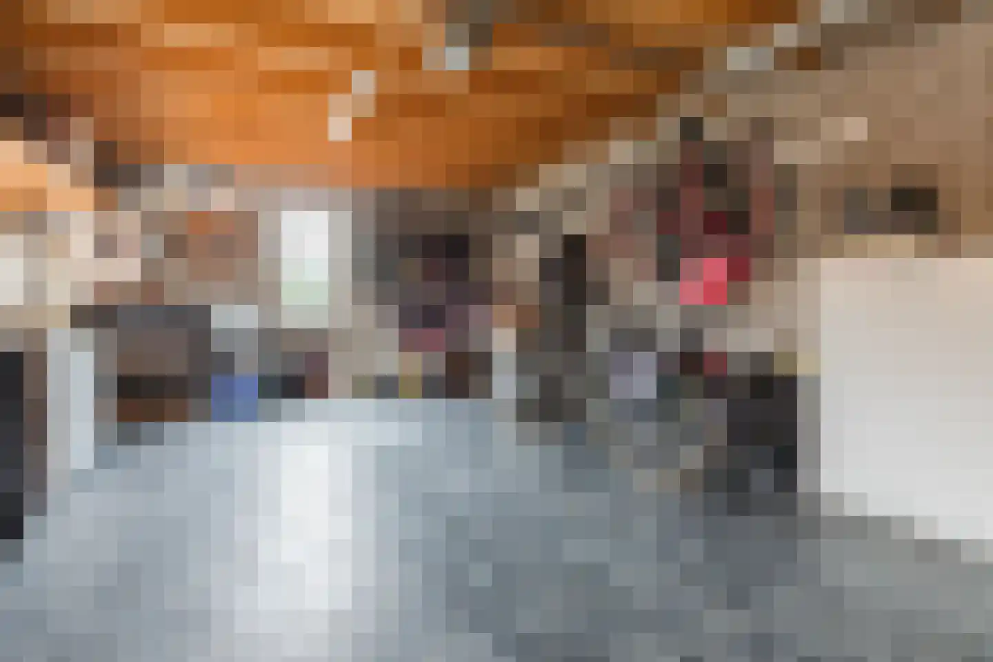Graaf Hermanstraat 9 Cuijk thumbnail 30