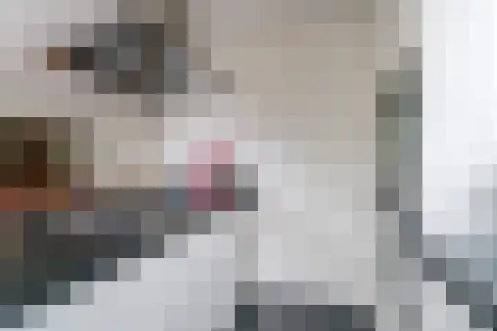 Graaf Huibertlaan 20 a Everdingen thumbnail 17