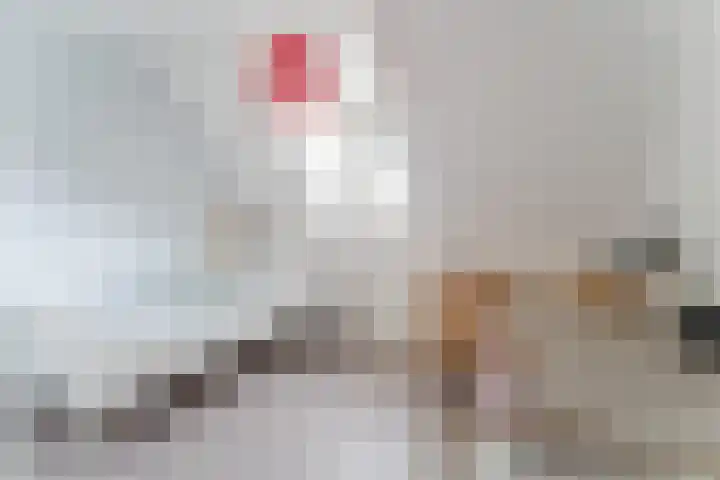 Graaf Huibertlaan 20 a Everdingen thumbnail 22