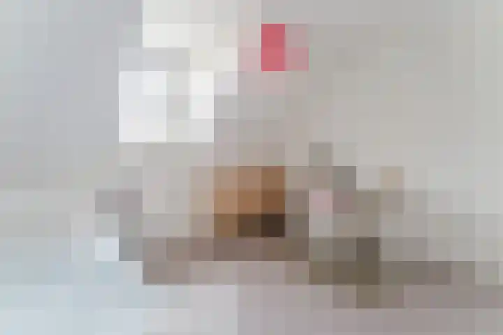 Graaf Huibertlaan 20 a Everdingen thumbnail 23