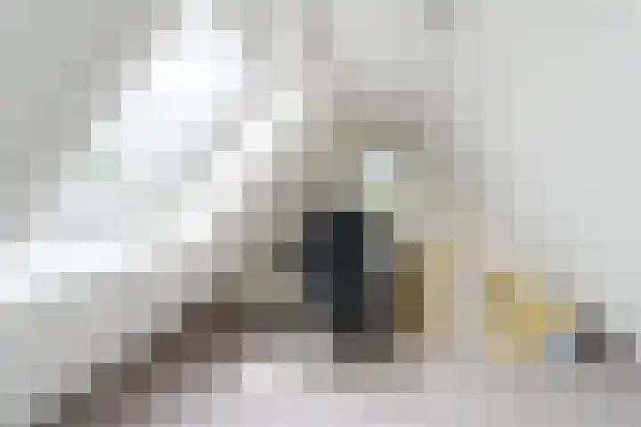 Graaf Huibertlaan 20 a Everdingen thumbnail 32