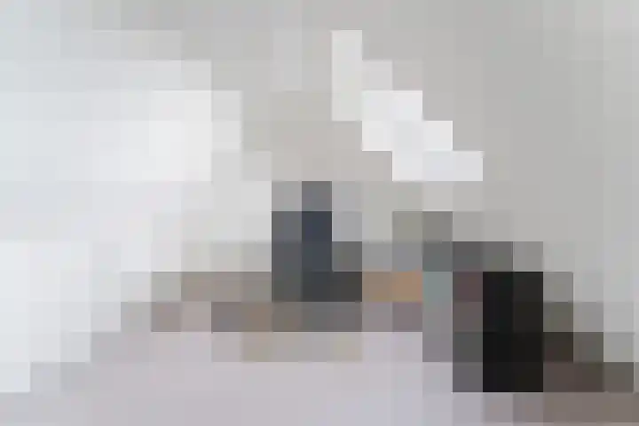Graaf Huibertlaan 20 a Everdingen thumbnail 34