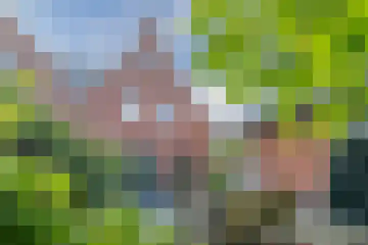 Graaf Huibertlaan 20 a Everdingen thumbnail 36