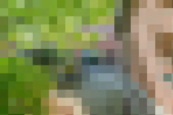 Graaf Huibertlaan 20 a Everdingen thumbnail 37