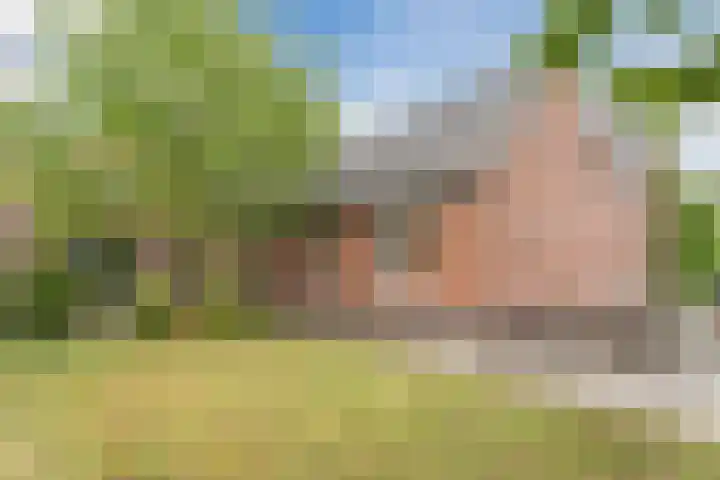 Graaf Huibertlaan 20 a Everdingen thumbnail 38