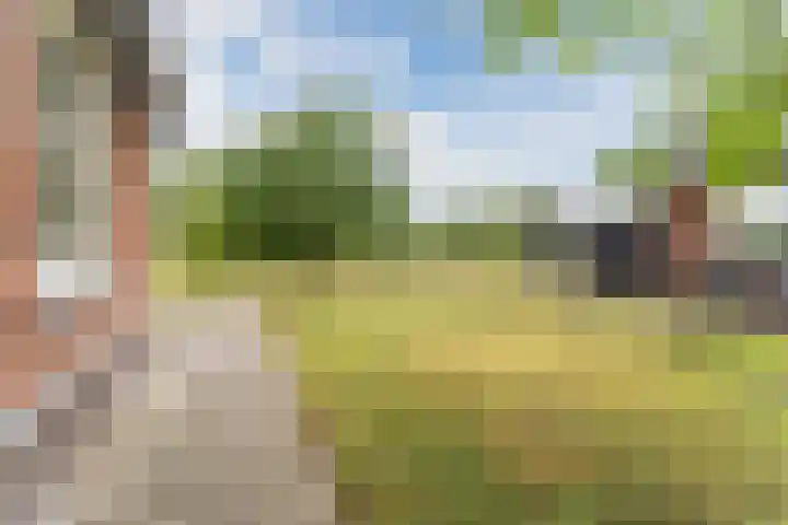 Graaf Huibertlaan 20 a Everdingen thumbnail 39