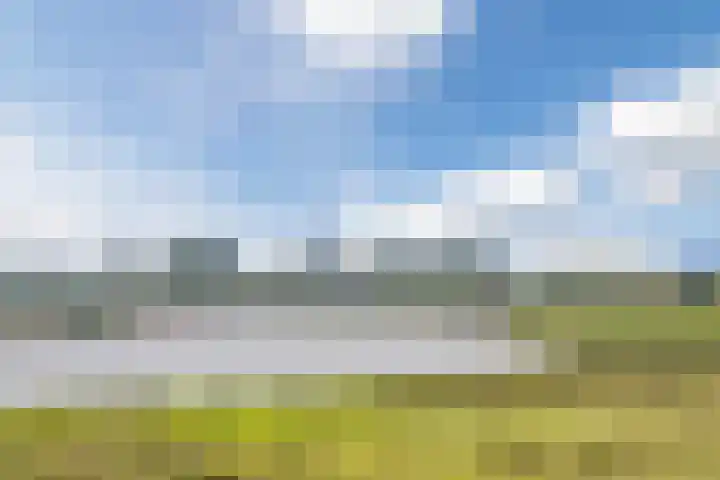 Graaf Huibertlaan 20 a Everdingen thumbnail 4