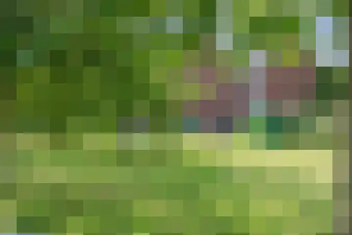 Graaf Huibertlaan 20 a Everdingen thumbnail 41