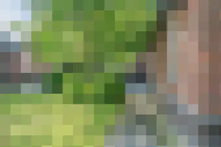 Graaf Huibertlaan 20 a Everdingen thumbnail 42