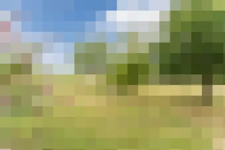 Graaf Huibertlaan 20 a Everdingen thumbnail 43
