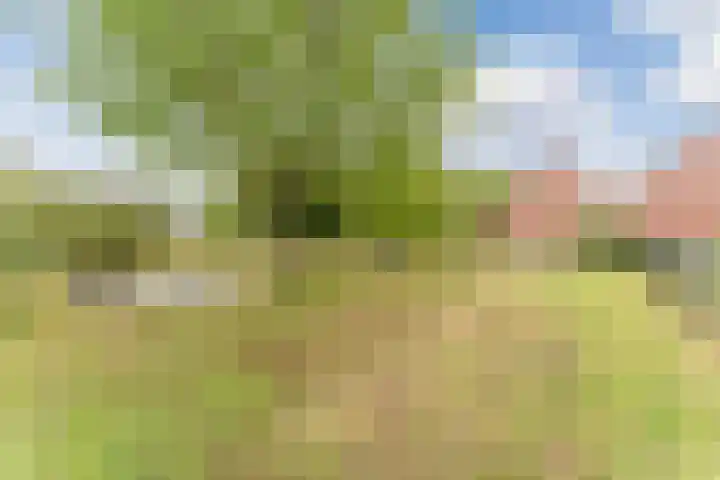 Graaf Huibertlaan 20 a Everdingen thumbnail 44