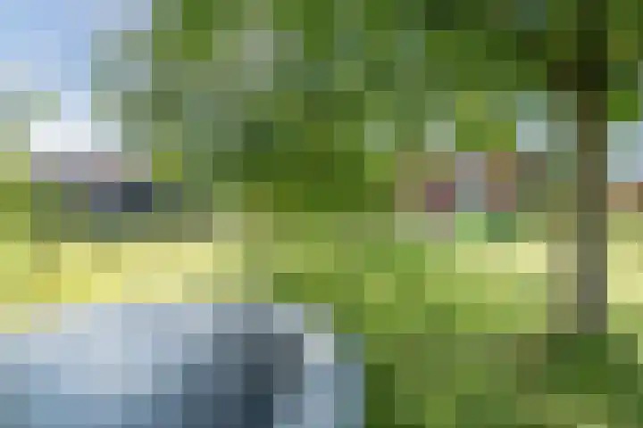 Graaf Huibertlaan 20 a Everdingen thumbnail 45