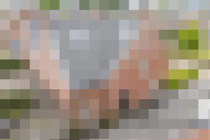 Graaf Huibertlaan 20 a Everdingen thumbnail 46