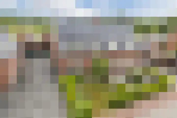 Graaf Huibertlaan 20 a Everdingen thumbnail 47