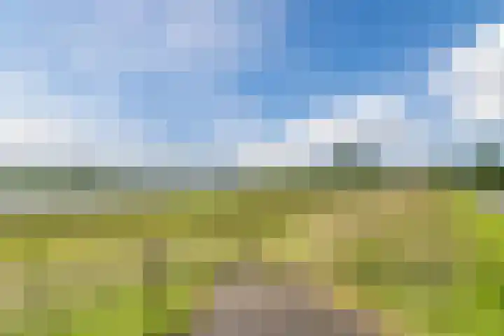 Graaf Huibertlaan 20 a Everdingen thumbnail 48