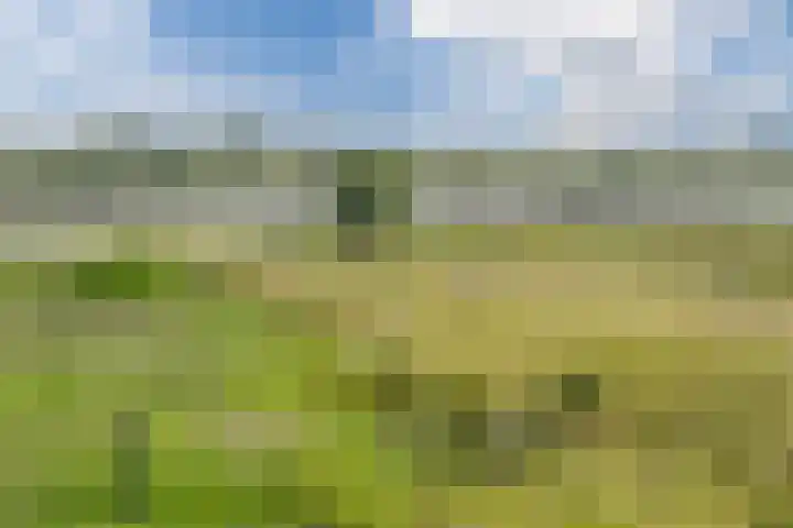 Graaf Huibertlaan 20 a Everdingen thumbnail 49