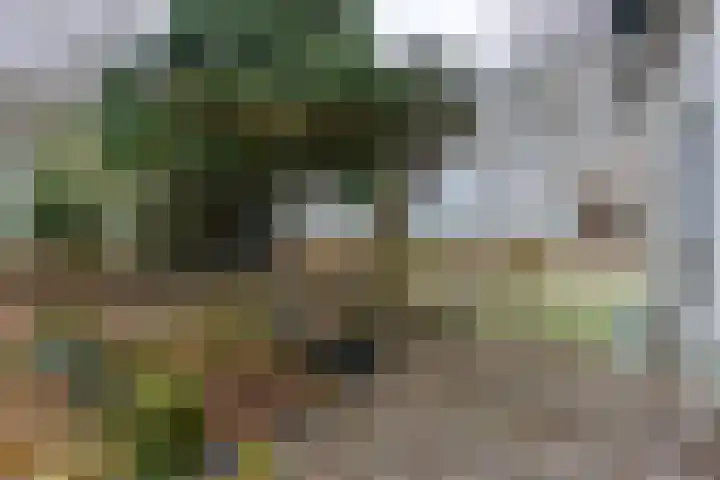Graaf Huibertlaan 46 Everdingen thumbnail 20