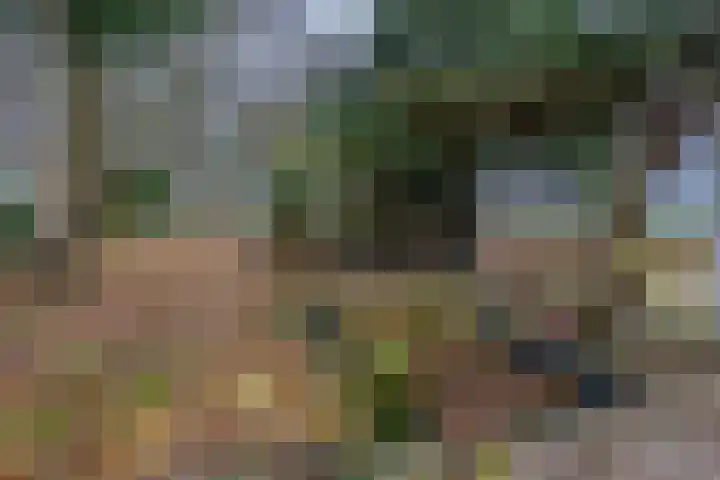 Graaf Huibertlaan 46 Everdingen thumbnail 21